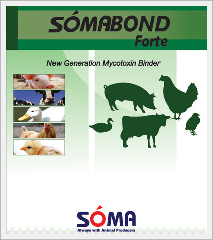 Somabond Forte  Made in Korea